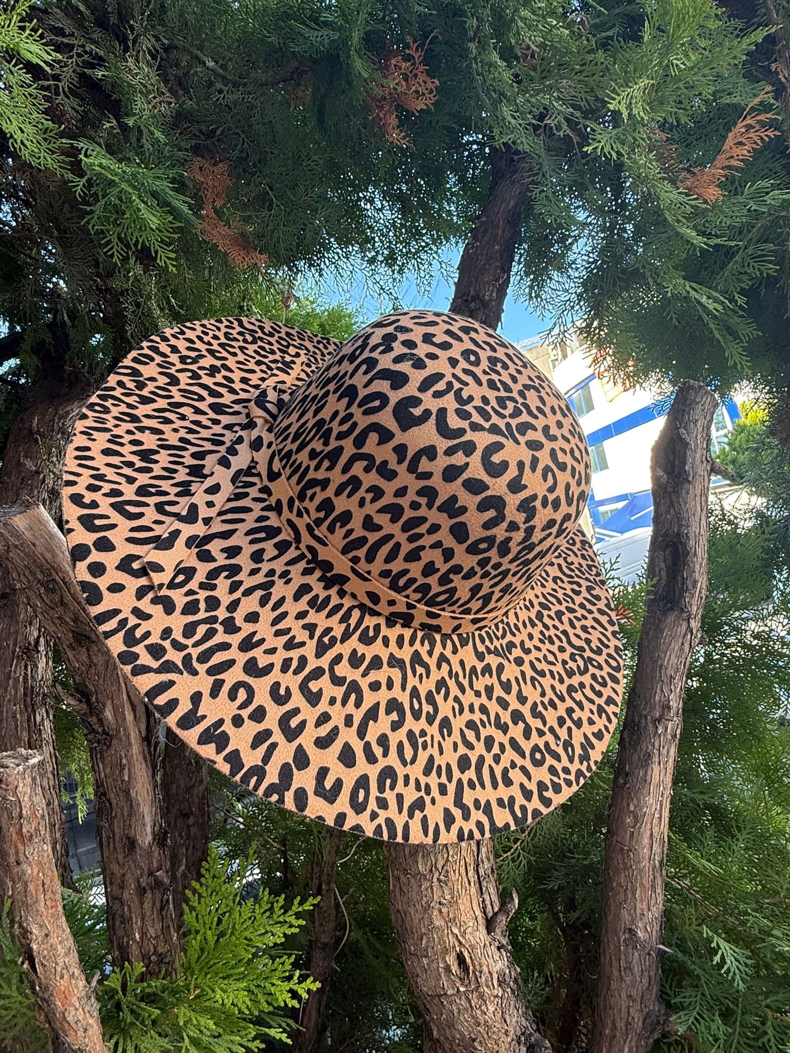 14763 Leopar Desen Geniş Şapka görsel 2