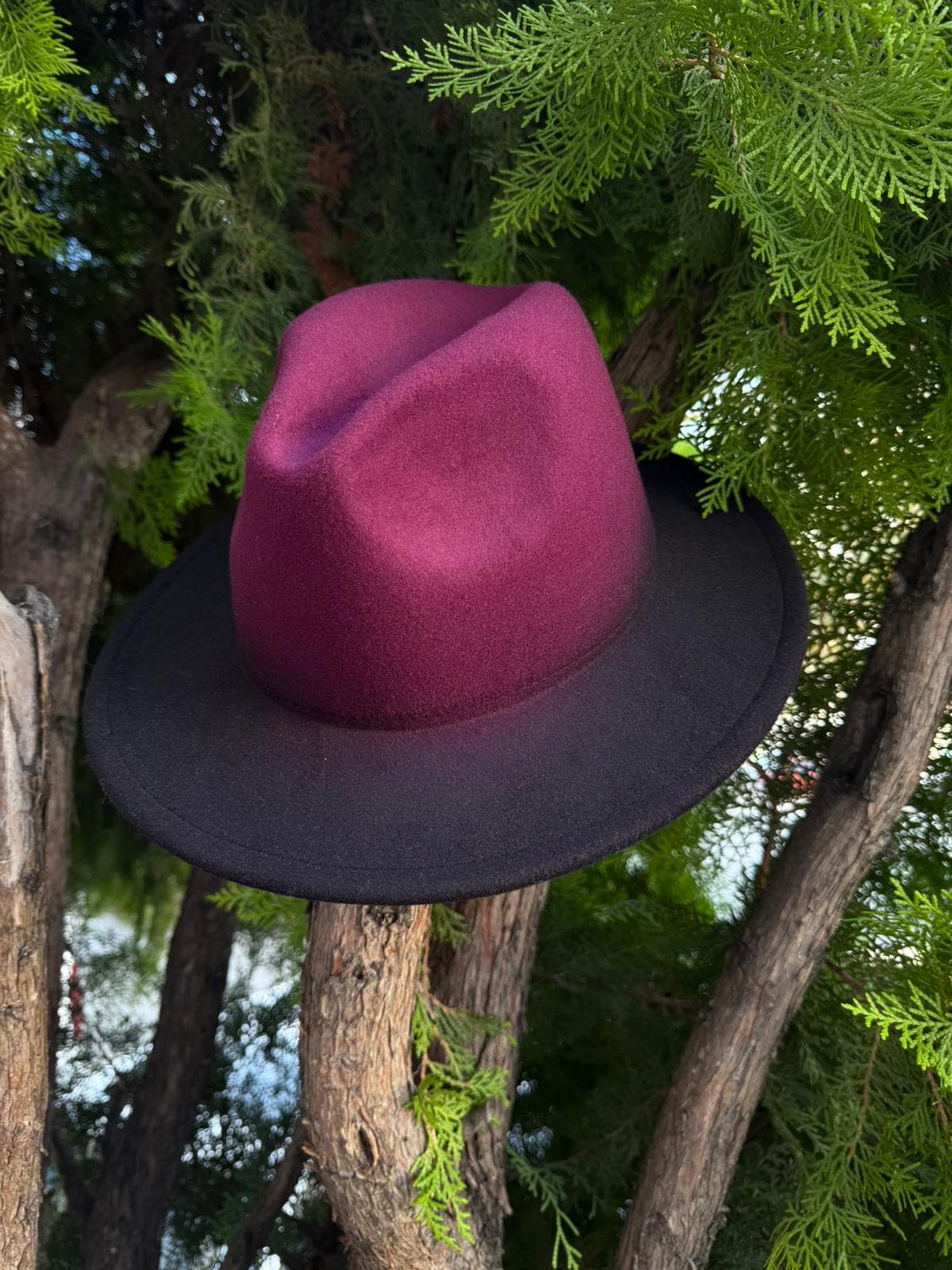 14484 Bordo Degrade Panama Şapka görsel 1
