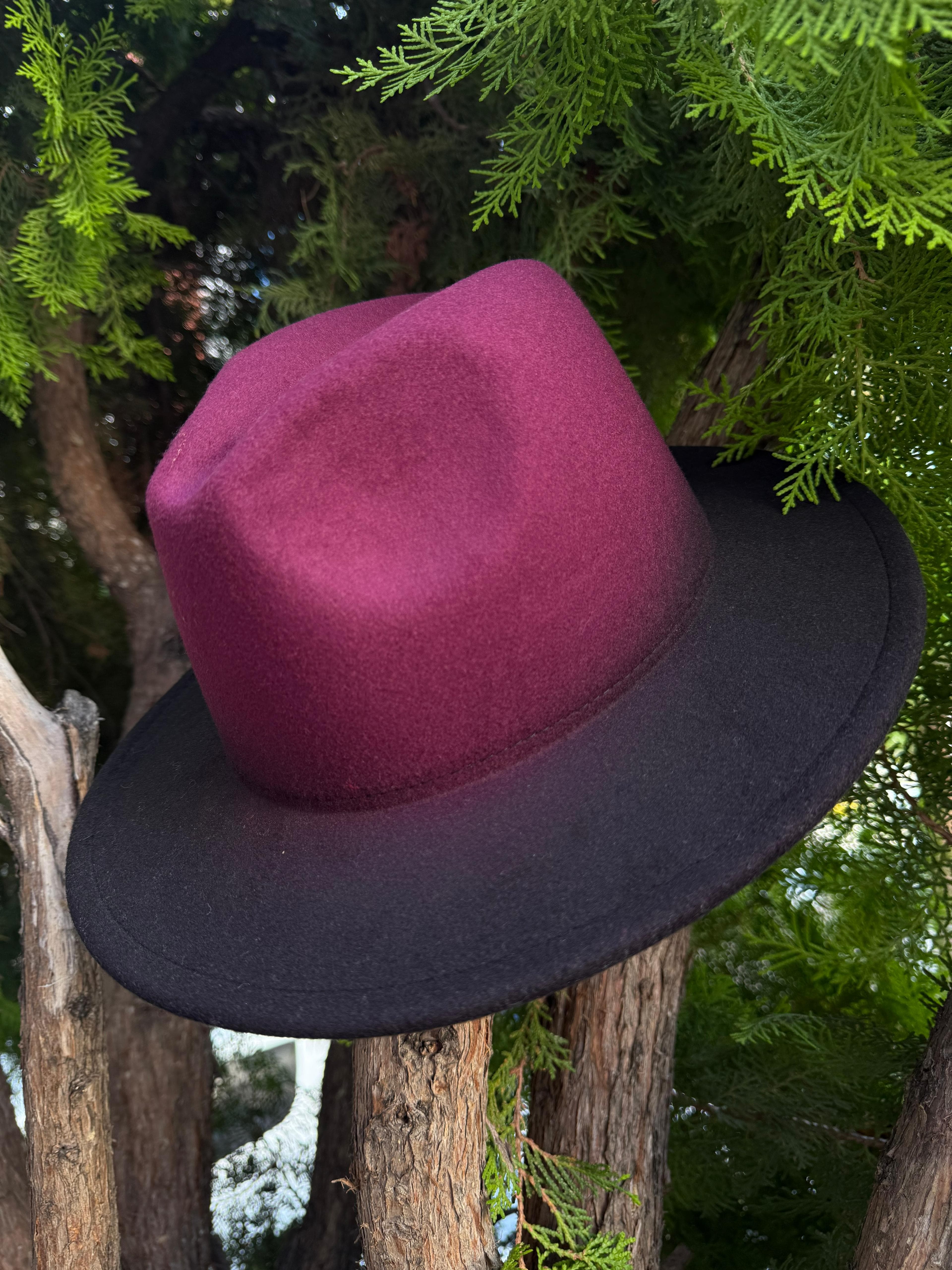 14484 Bordo Degrade Panama Şapka görsel 2