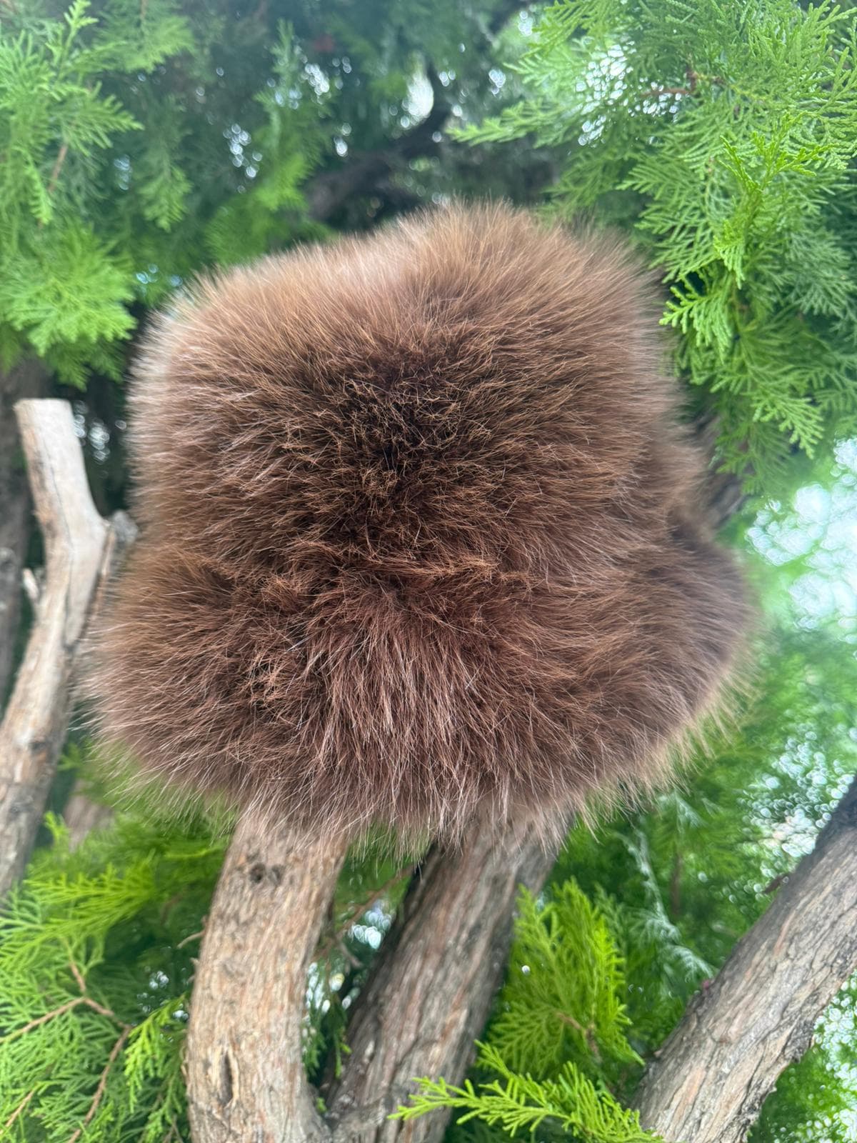 14500 Mango Kumaş Kahverengi Peluş Kalpak Şapka görsel 3